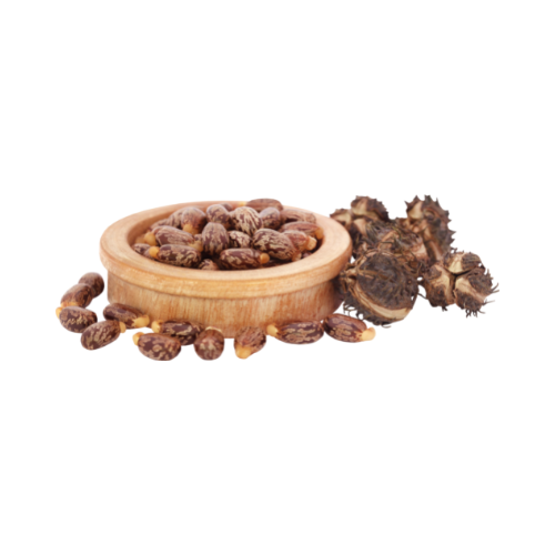 Organic Black Castor Oil (Indian)