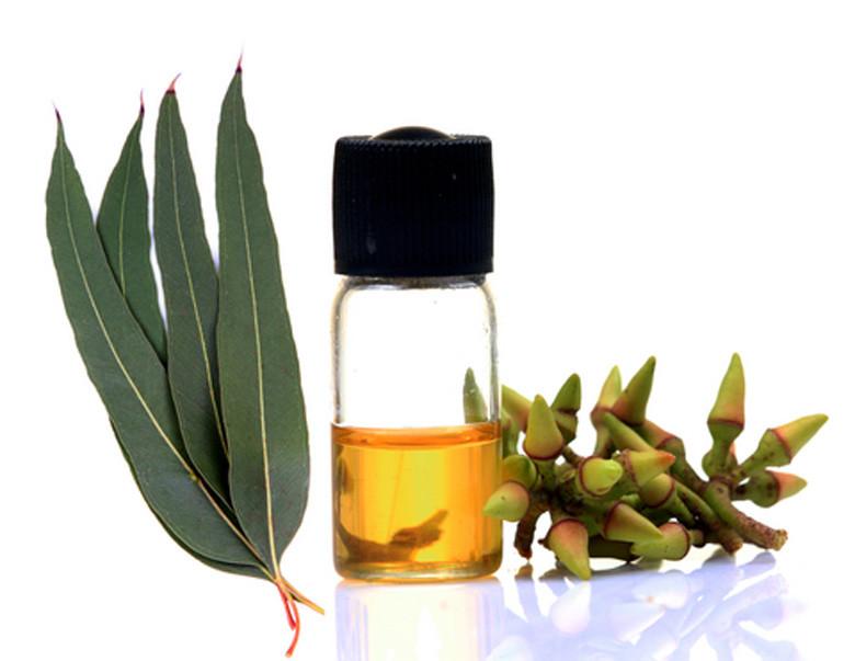 Pure Eucalyptus Oil