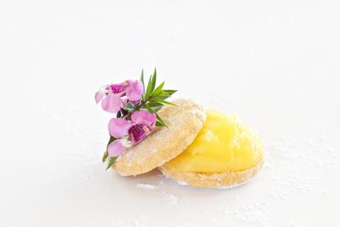Hello Sugar! Scented Shea Butter (net wt 4 oz)