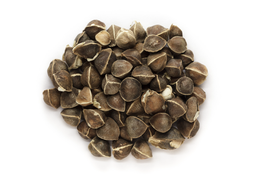 Moringa Oil-Virgin Organic