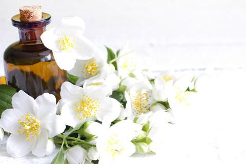 Organic Amla Jasmine Hair Oil 8 fl oz