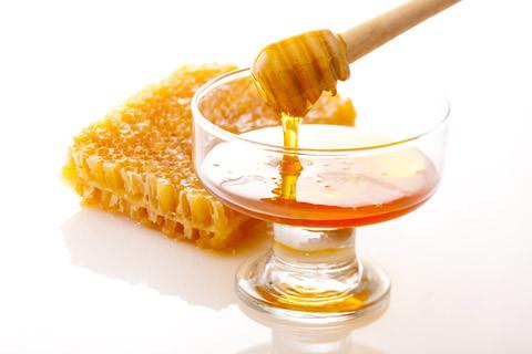 Shea N' Honey Conditioner 8 fl oz