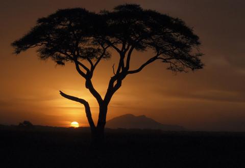 The Gifts of Africa Shea & Black Soap Combo