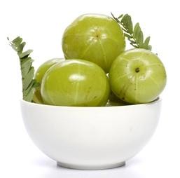 Organic Amla Oil 8 fl oz