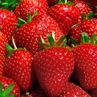Sun Ripened Strawberry