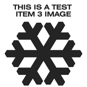 Test Item 3