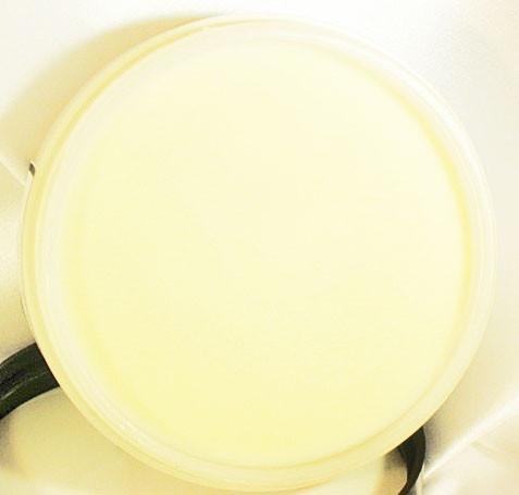 Dandruff Control Butter