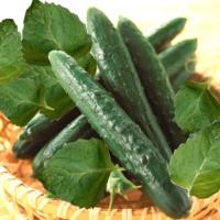 French Green Cucumber Mint Facial Masque